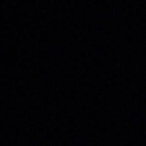 Meet your Posher, Astrid